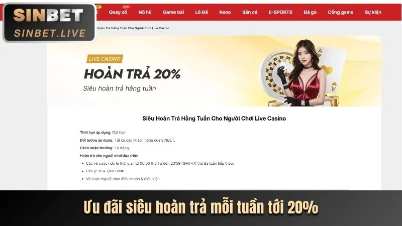 Cập nhật khuyến mãi độc quyền